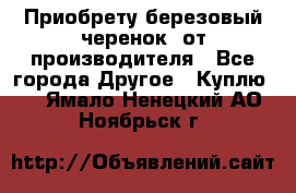 Приобрету березовый черенок  от производителя - Все города Другое » Куплю   . Ямало-Ненецкий АО,Ноябрьск г.